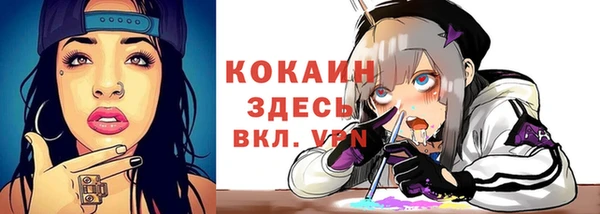 сатива Абинск