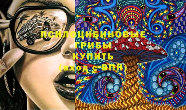 ПСИЛОЦИБИНОВЫЕ ГРИБЫ Россошь