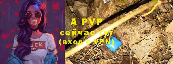 сатива Абинск