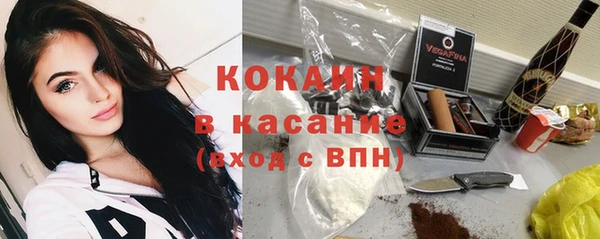 сатива Абинск