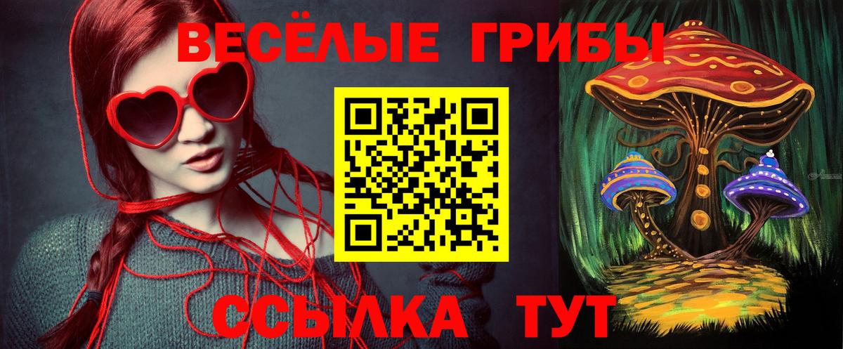 Галлюциногенные грибы мицелий Зеленогорск