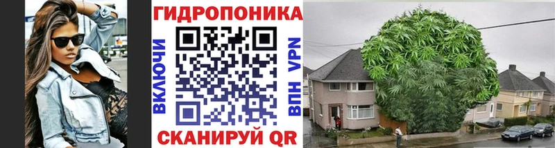 omg маркетплейс  Зеленогорск  Марихуана конопля 